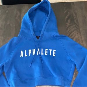 Alphalete Cropped Sweater